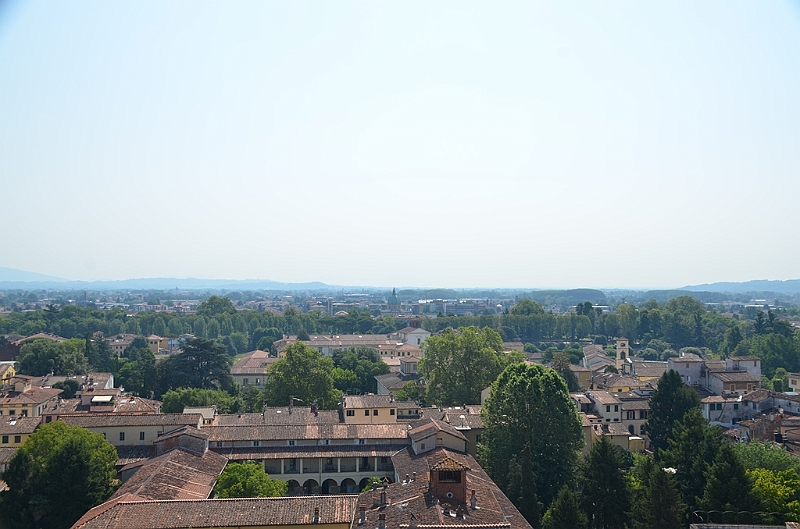 075_Italien_Toskana_Lucca_Torre_Guinigi.JPG