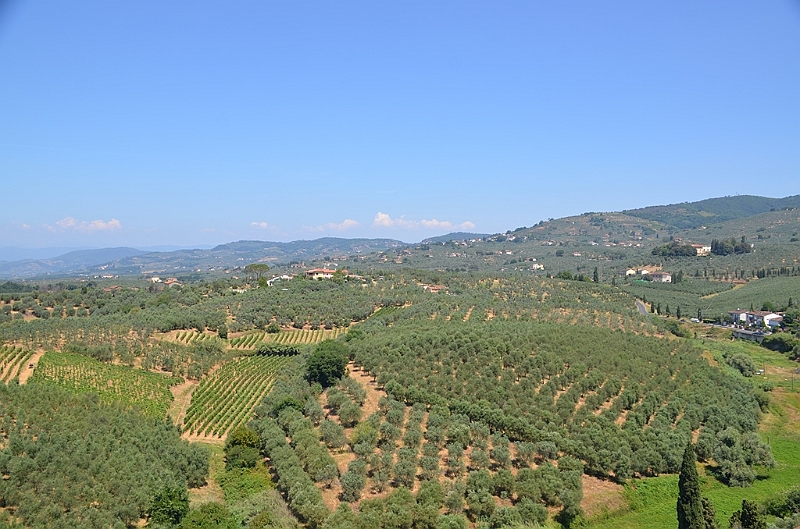 375_Italien_Toskana_Vinci.JPG