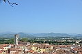 071_Italien_Toskana_Lucca_Torre_Guinigi