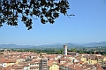 072_Italien_Toskana_Lucca_Torre_Guinigi