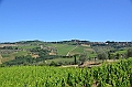195_Italien_Toskana_Chianti
