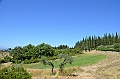201_Italien_Toskana_Chianti