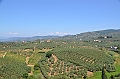 375_Italien_Toskana_Vinci