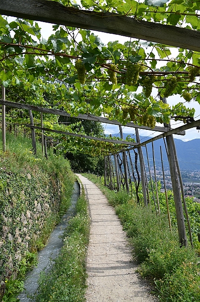049_Meran.JPG
