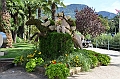 098_Meran