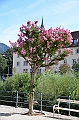 099_Meran
