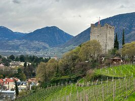 063_Italien_Suedtirol_Meran