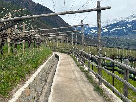 074_Italien_Suedtirol_Algunder_Waalweg