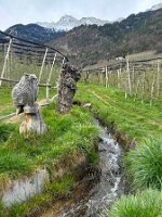 076_Italien_Suedtirol_Algunder_Waalweg