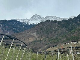 077_Italien_Suedtirol_Algunder_Waalweg