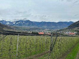 079_Italien_Suedtirol_Algunder_Waalweg