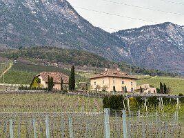 082_Italien_Suedtirol_Kalterer_See