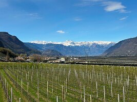 120_Italien_Suedtirol_Missian