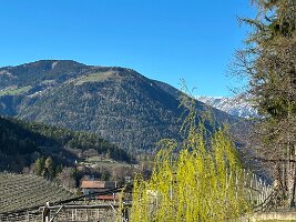 221_Italien_Suedtirol_Voellan_Alpiana_Green_Luxury