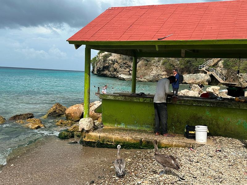101_Curacao_Playa_Piskado.JPG