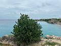119_Curacao_Playa_Piskado