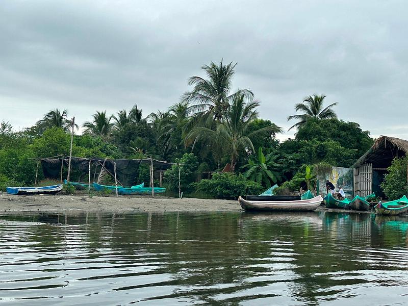 139_Colombia_Cartagena_Manglar.JPG