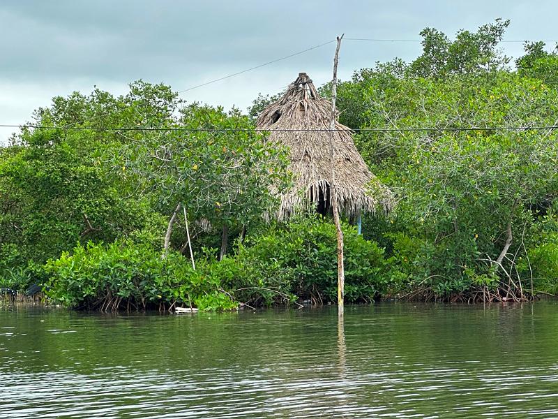 143_Colombia_Cartagena_Manglar.JPG