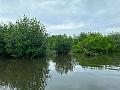 142_Colombia_Cartagena_Manglar