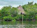 143_Colombia_Cartagena_Manglar
