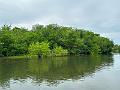 162_Colombia_Cartagena_Manglar