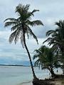 047_Panama_Holandes_Cay_Beach