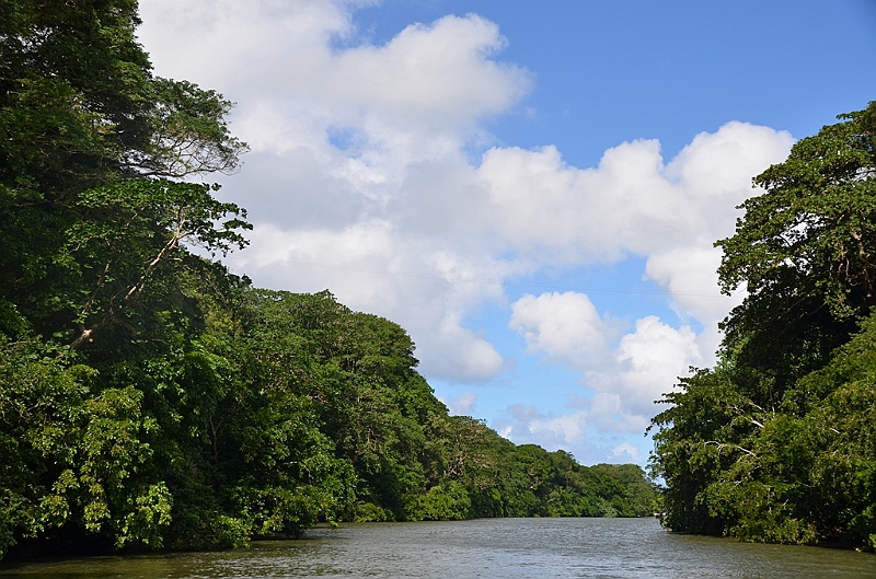 021_Mauritius_East_Grand_River_South_East.JPG