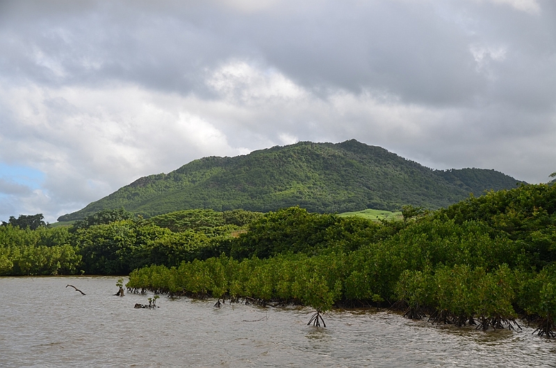 038_Mauritius_South_East_Mangroves.JPG