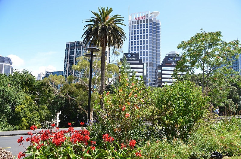 053_New_Zealand_Auckland_Albert_Park.JPG