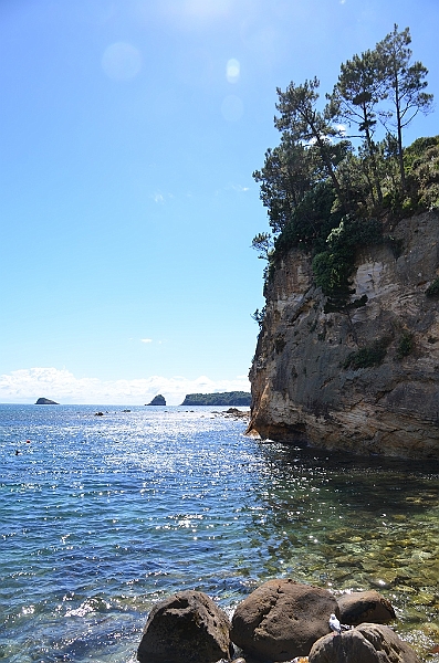 043_New_Zealand_Coromandel_Peninsula.JPG