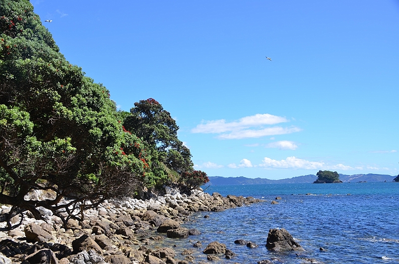 045_New_Zealand_Coromandel_Peninsula.JPG