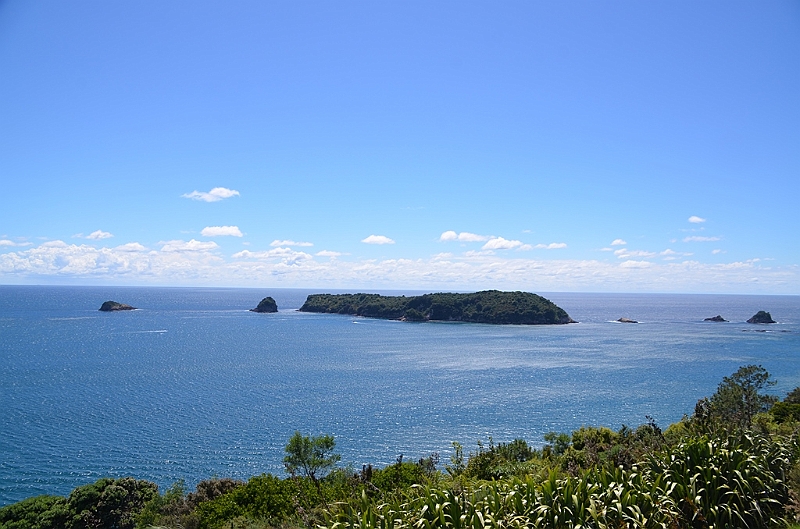 049_New_Zealand_Coromandel_Peninsula.JPG