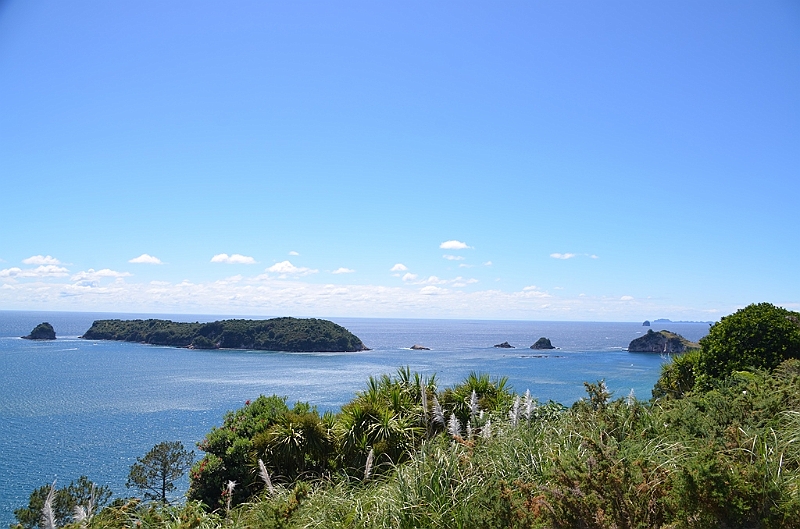 051_New_Zealand_Coromandel_Peninsula.JPG