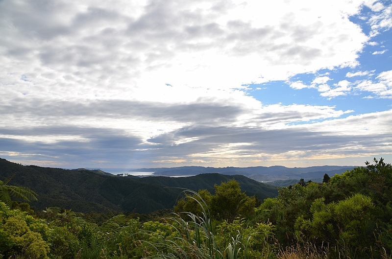079_New_Zealand_Coromandel_Peninsula.JPG