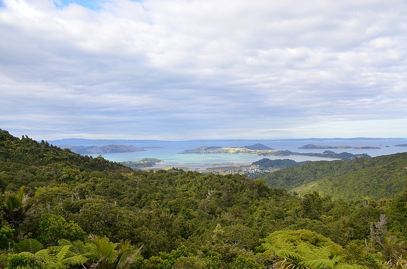 080_New_Zealand_Coromandel_Peninsula.JPG