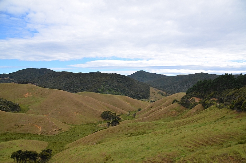 084_New_Zealand_Coromandel_Peninsula.JPG