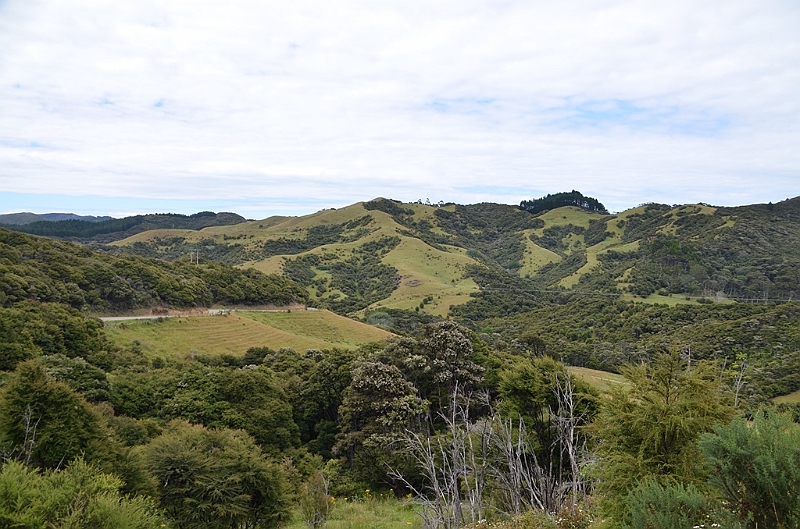 085_New_Zealand_Coromandel_Peninsula.JPG