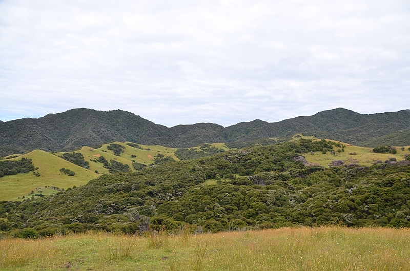 086_New_Zealand_Coromandel_Peninsula.JPG