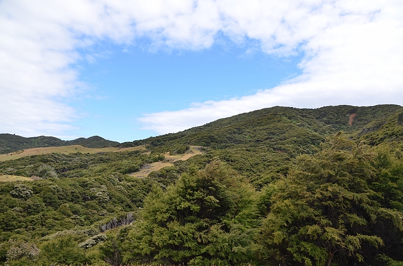 087_New_Zealand_Coromandel_Peninsula.JPG