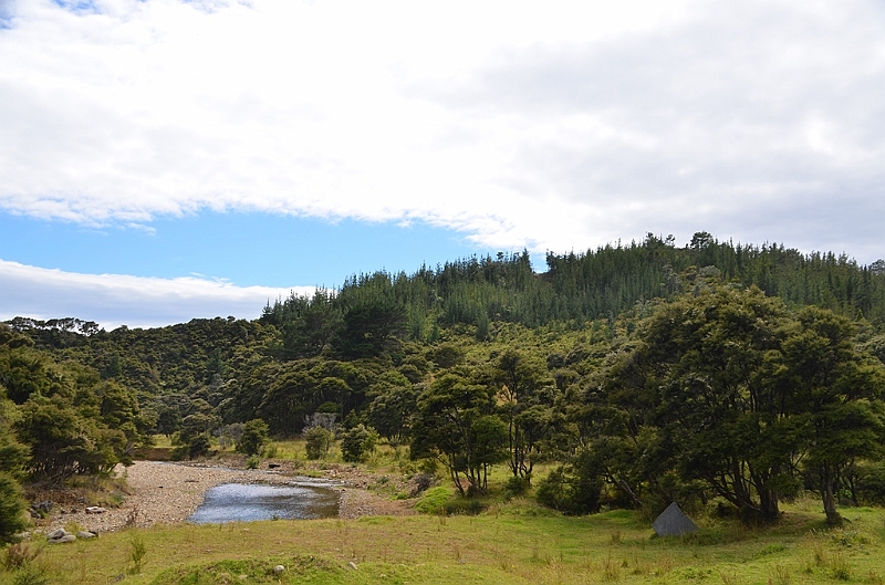 089_New_Zealand_Coromandel_Peninsula.JPG