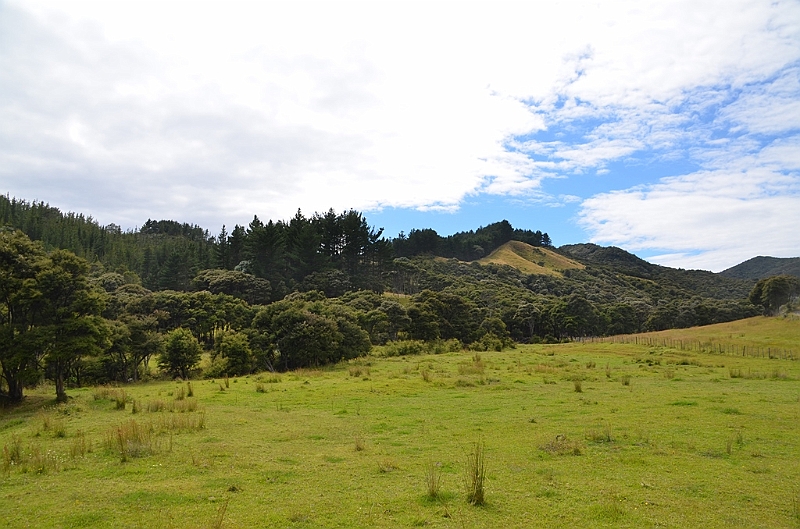 090_New_Zealand_Coromandel_Peninsula.JPG