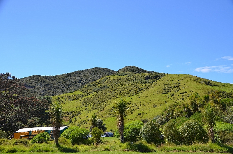 098_New_Zealand_Coromandel_Peninsula.JPG