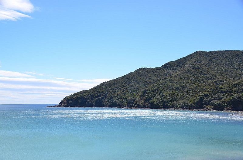 101_New_Zealand_Coromandel_Peninsula.JPG