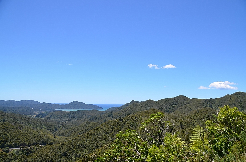 127_New_Zealand_Coromandel_Peninsula.JPG