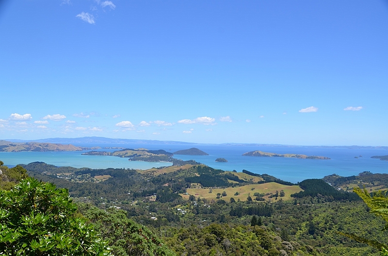 128_New_Zealand_Coromandel_Peninsula.JPG