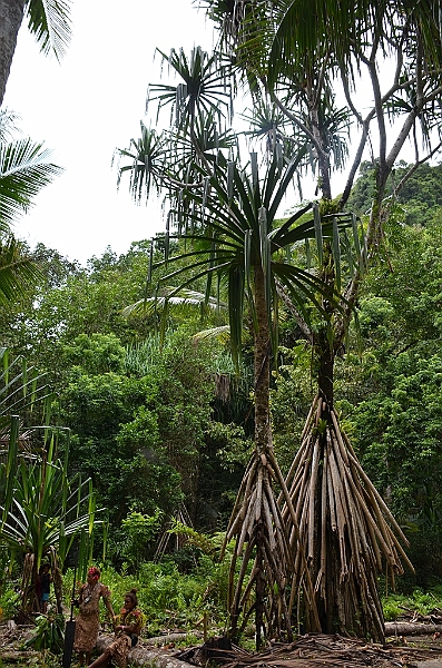 093_Papua_New_Guinea_Tufi.JPG