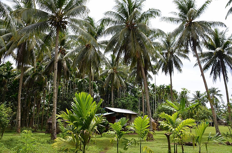 181_Papua_New_Guinea_Kitava_Island.JPG