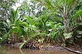 091_Papua_New_Guinea_Tufi