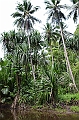 109_Papua_New_Guinea_Tufi