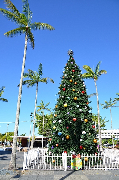 050_Australia_Cairns.JPG